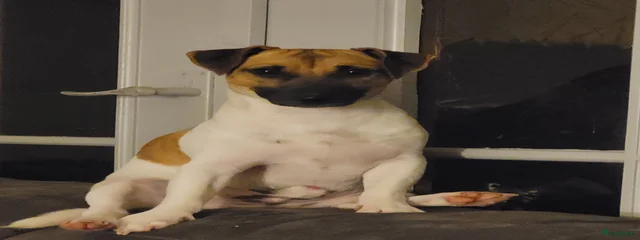 Billie