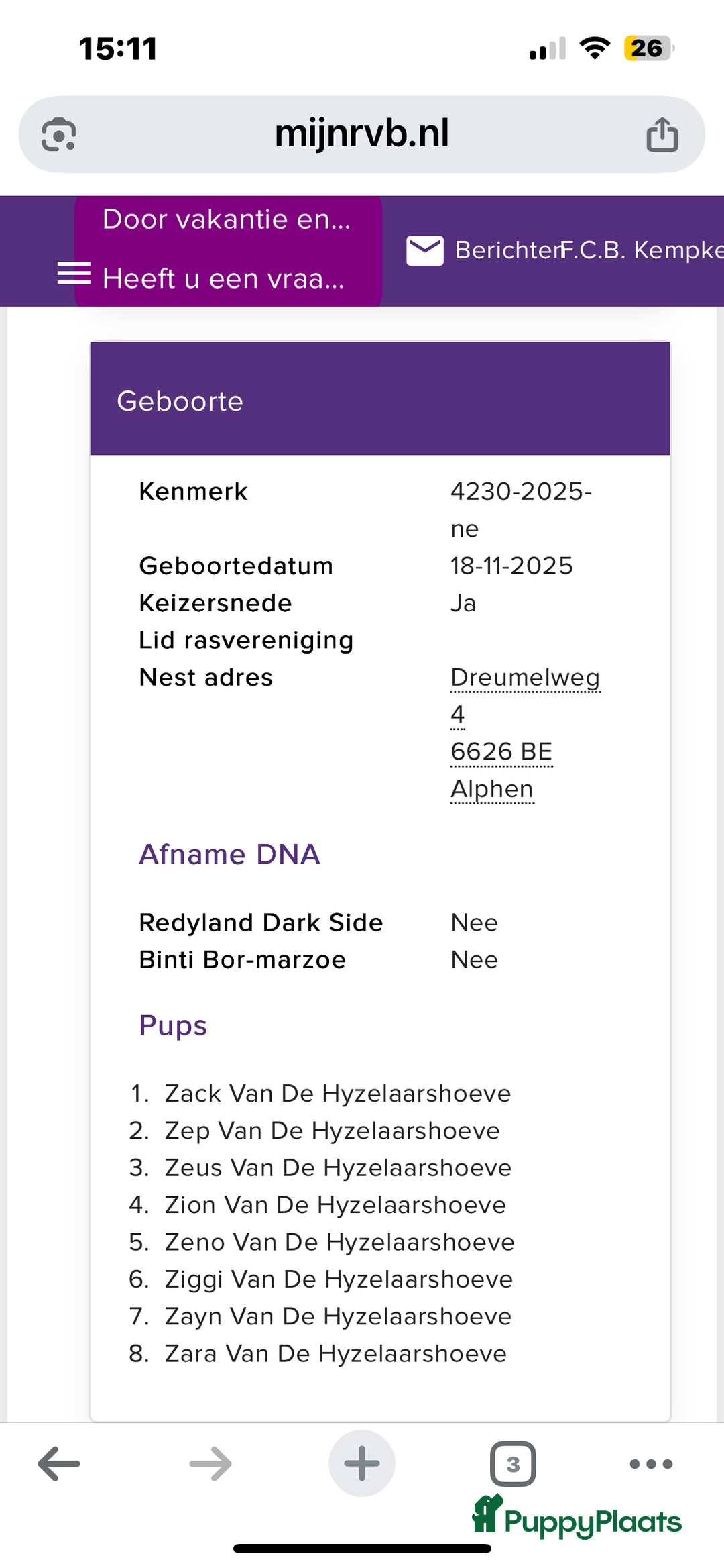 Rhodesian Ridgeback honden te koop: Rhodesian Ridgeback 7 reutjes geboren - Advertentie 26