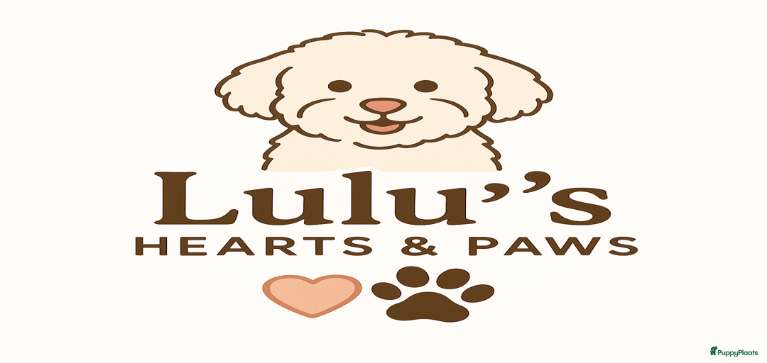 Galerij afbeelding {{count}}