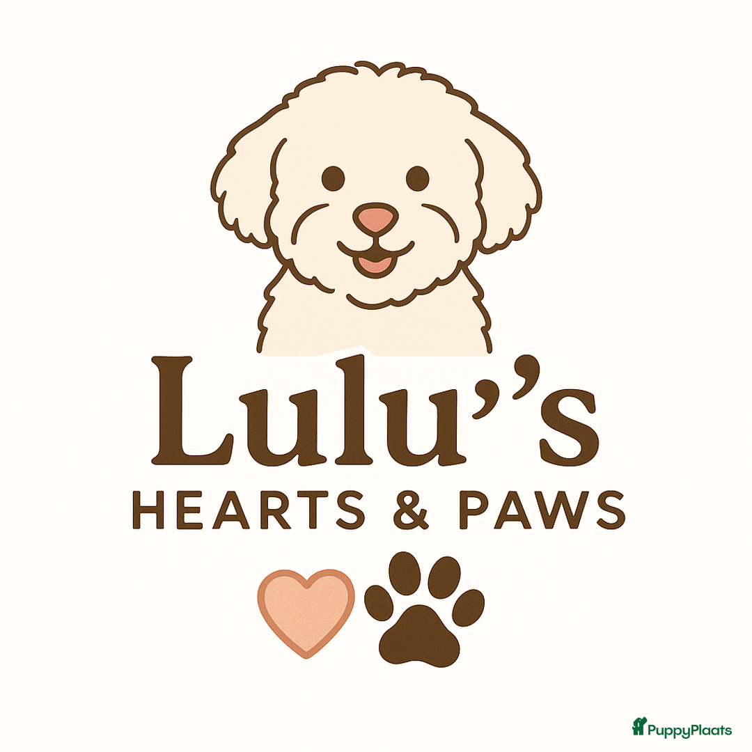 Galerij afbeelding {{count}}