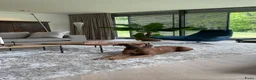 Rhodesian Ridgeback honden te koop: Rhodesian Ridgebacks puppy’s  - Advertentie 3