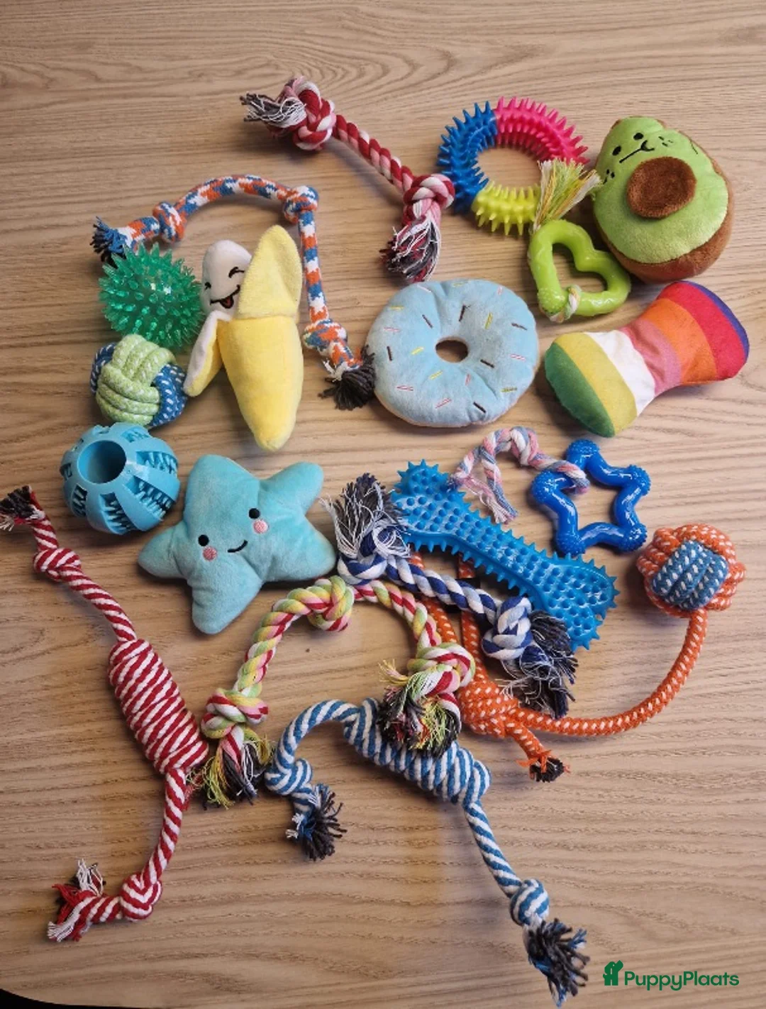 Kruising honden te koop: Hollandse Herder x Mechelaar - Cattle Dog Pup - Advertentie 3