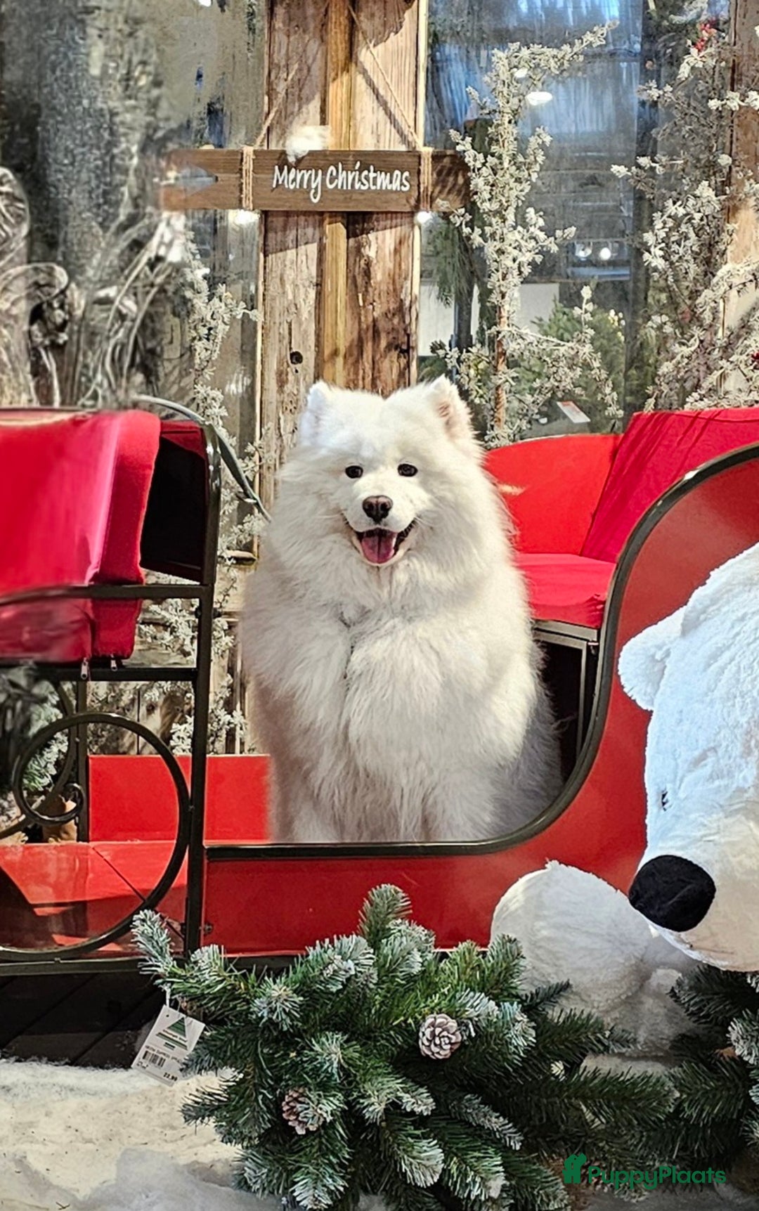 Galerij afbeelding {{count}}