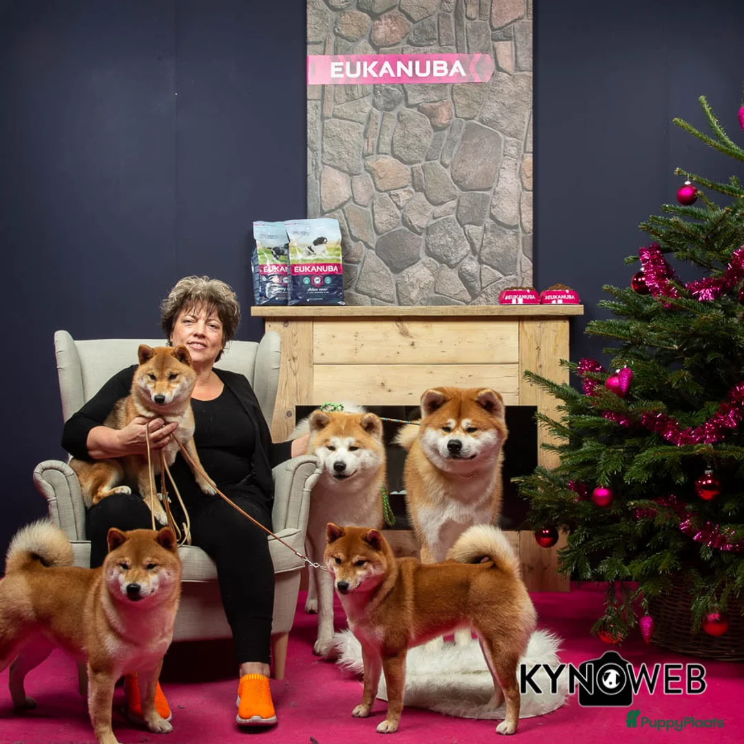 Galerij afbeelding {{count}}