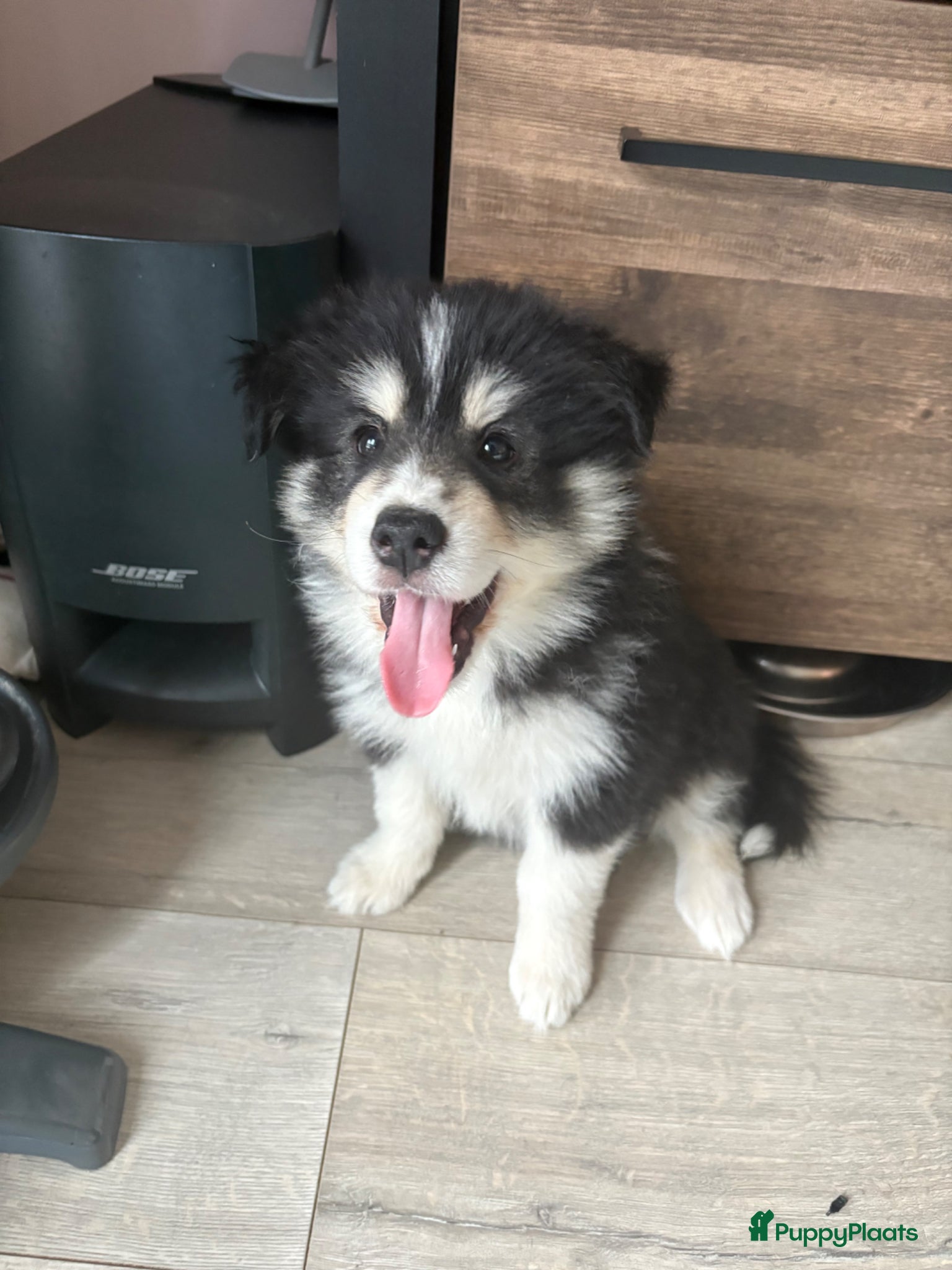 Luna