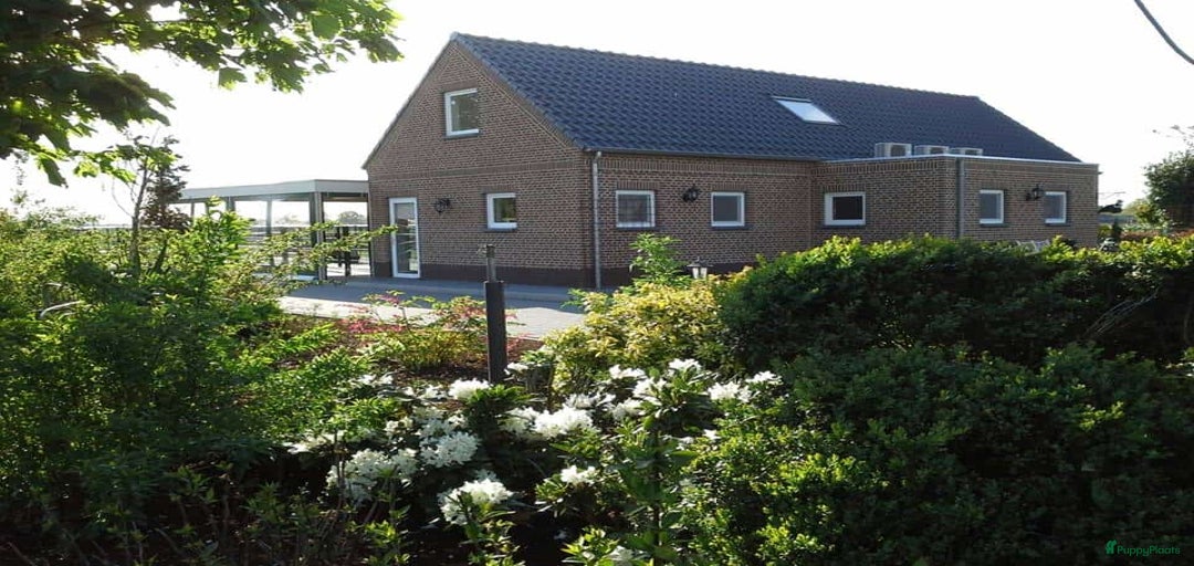 Galerij afbeelding {{count}}