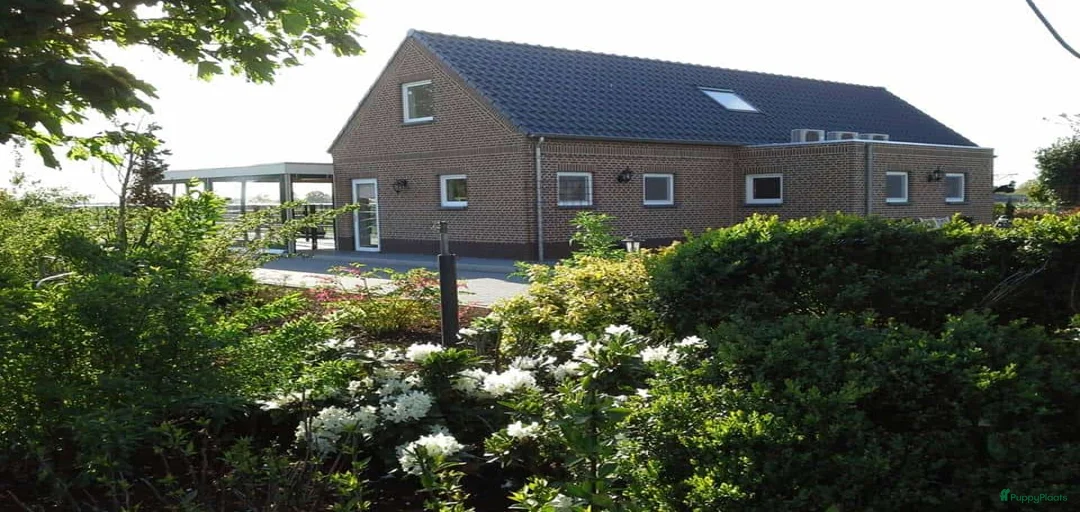 Galerij afbeelding {{count}}