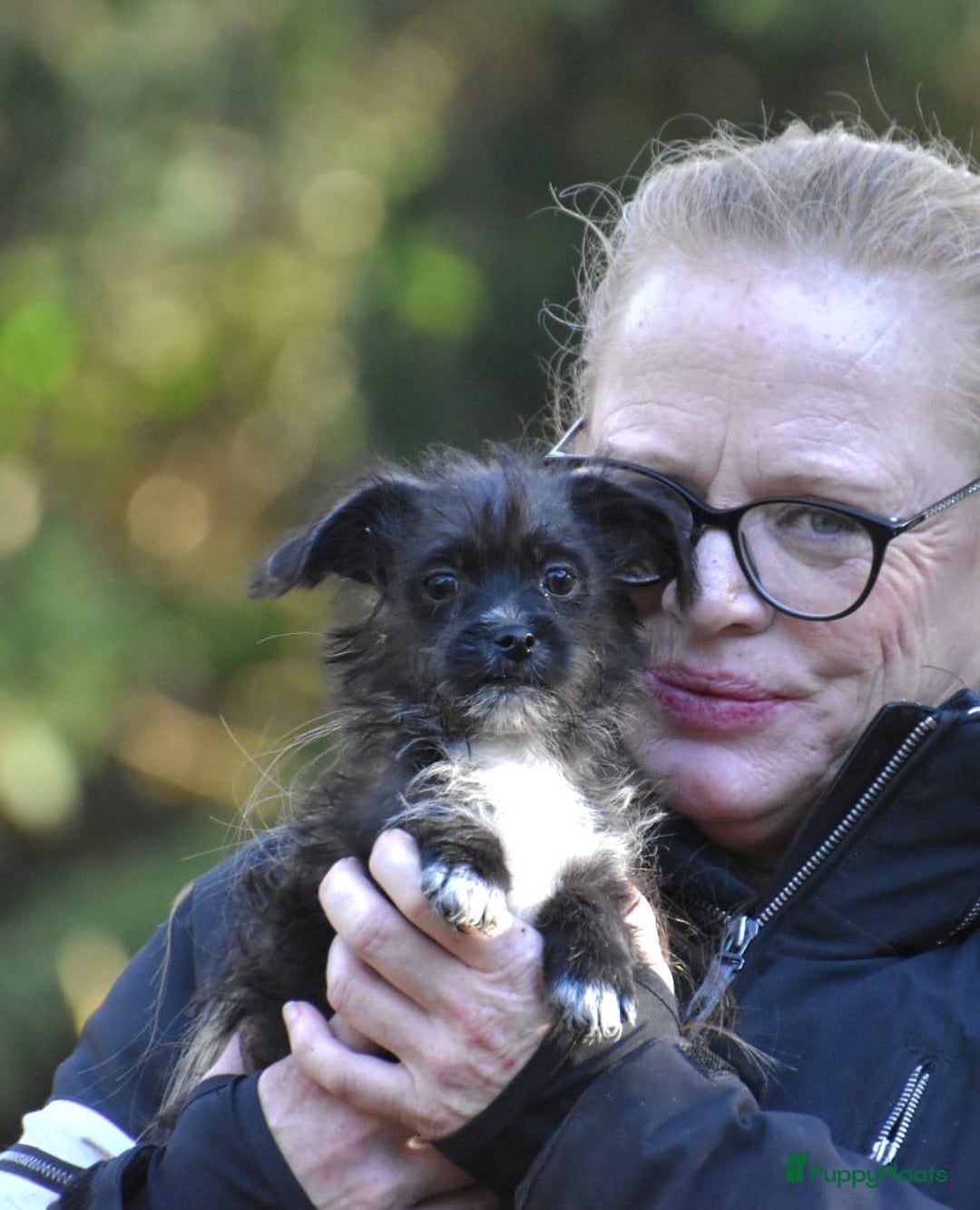 Boomer honden te koop: Super leuke zeer vrije Boomer pups - Advertentie 18