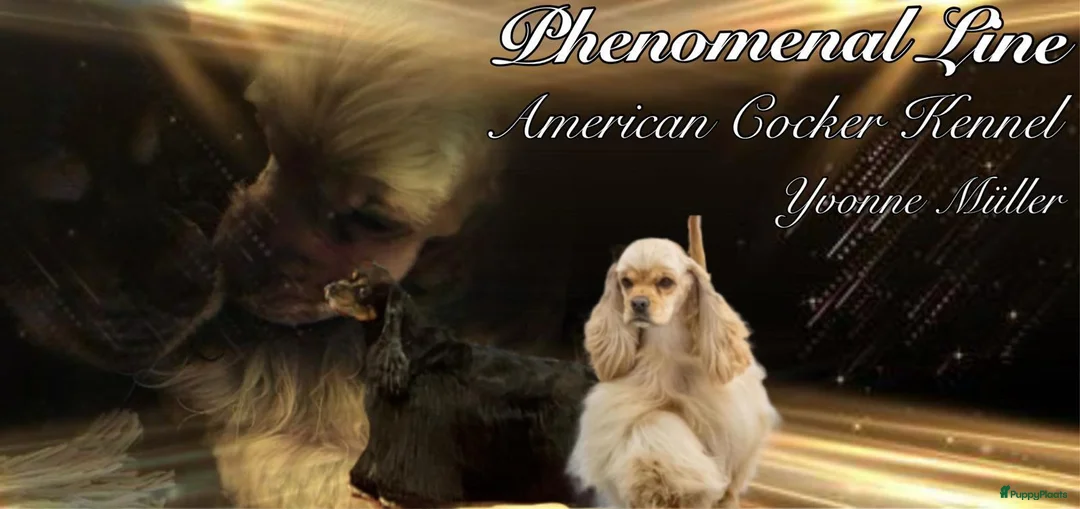 Galerij afbeelding {{count}}