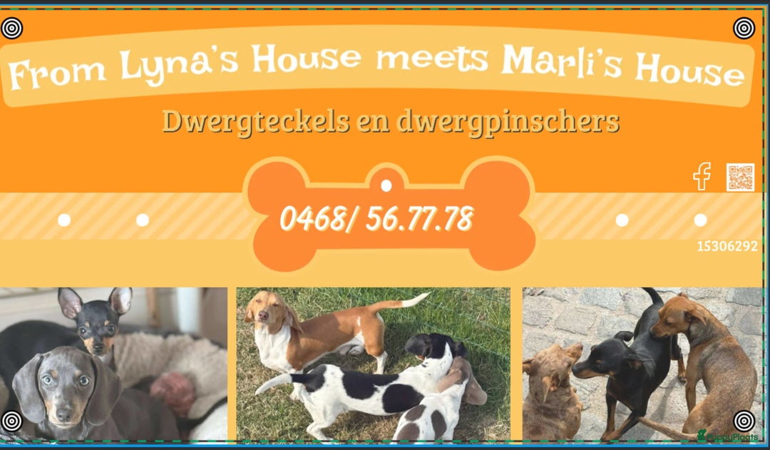 Galerij afbeelding {{count}}