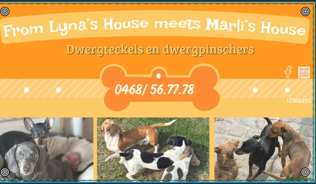 Galerij afbeelding {{count}}