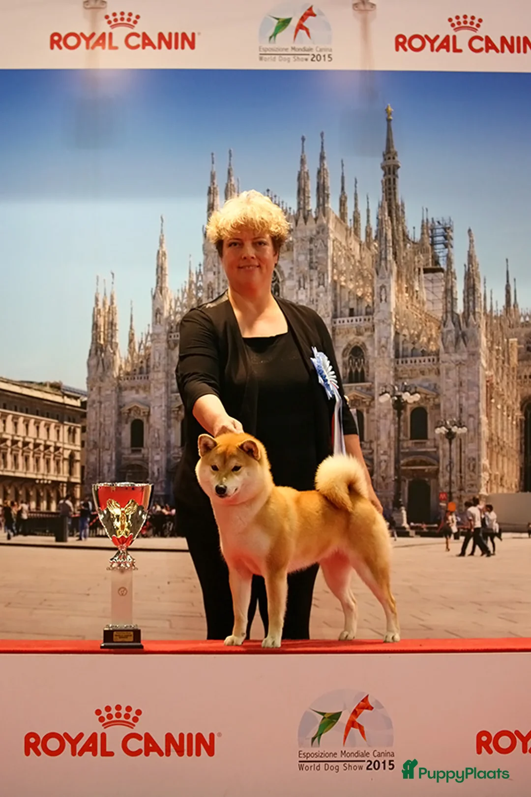 Galerij afbeelding {{count}}