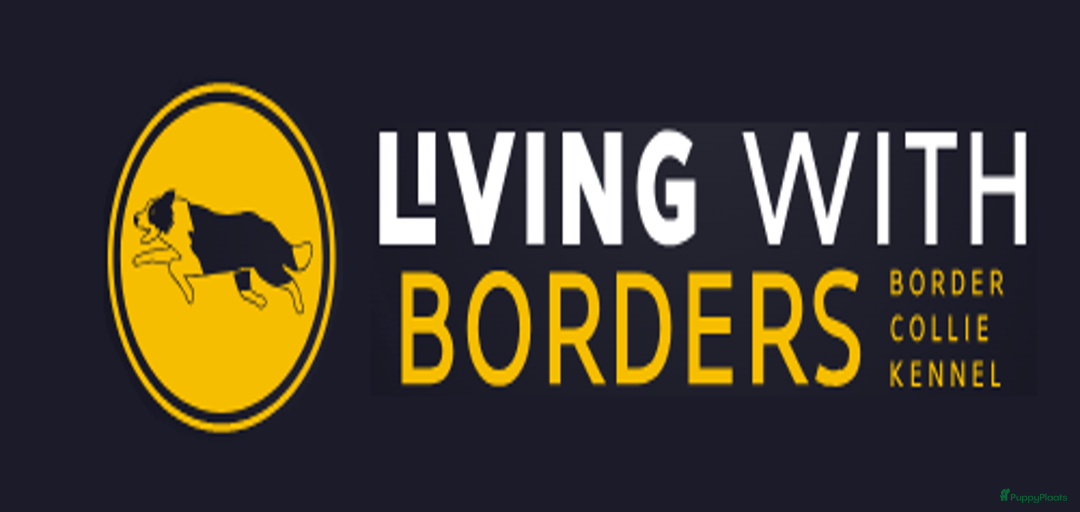 Galerij afbeelding {{count}}