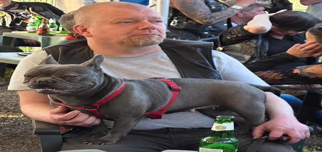 Galerij afbeelding {{count}}