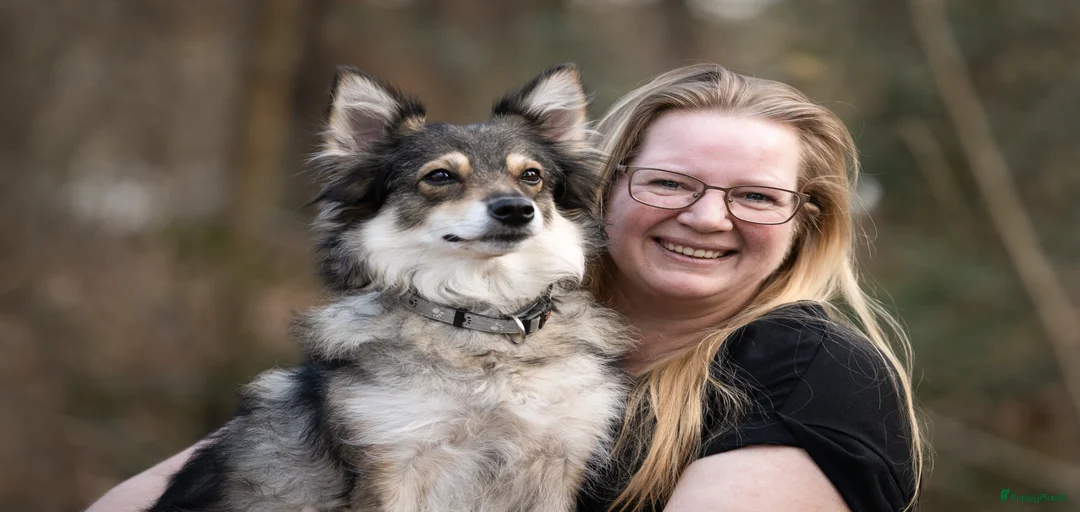 Galerij afbeelding {{count}}