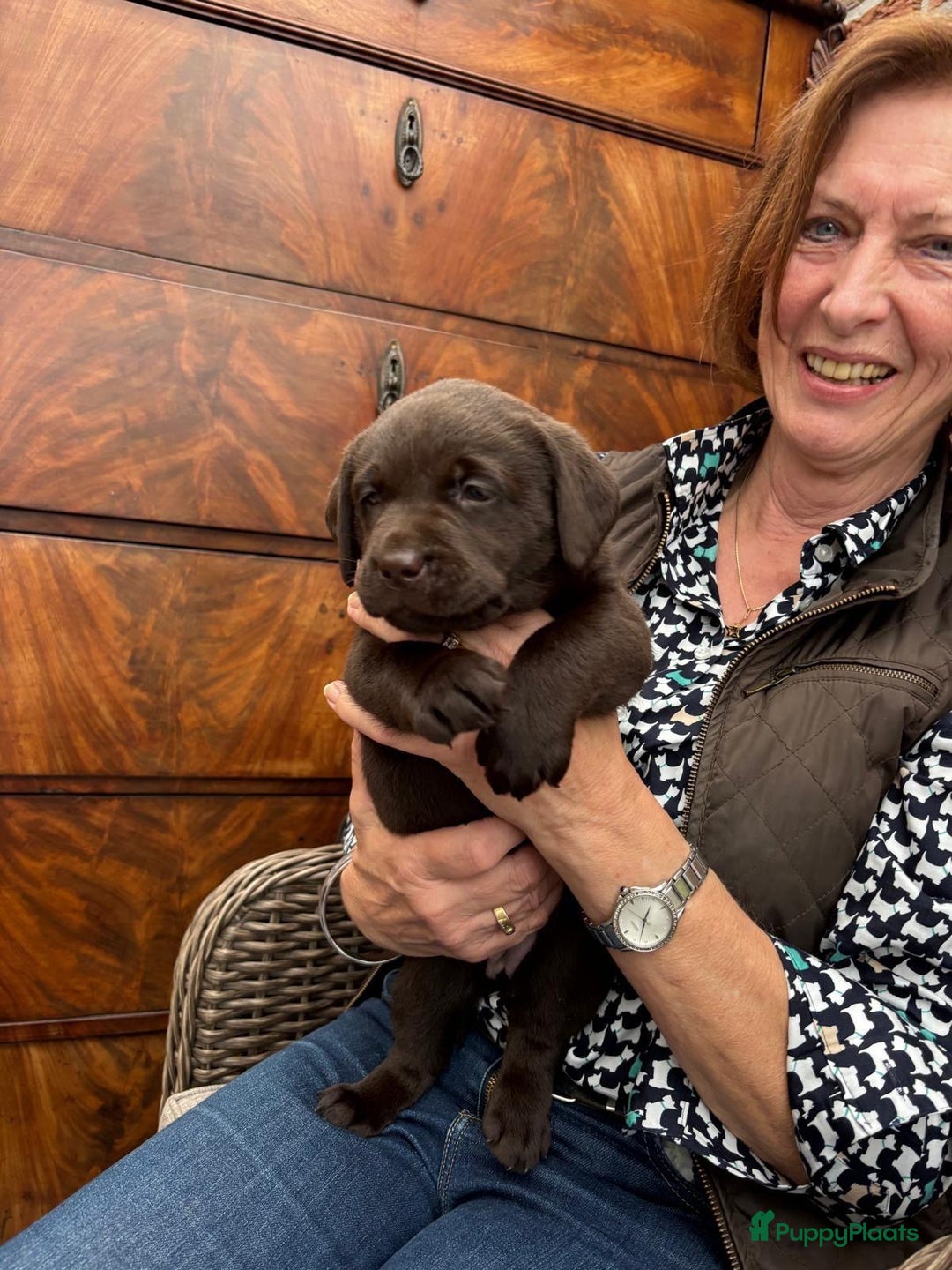 Galerij afbeelding {{count}}