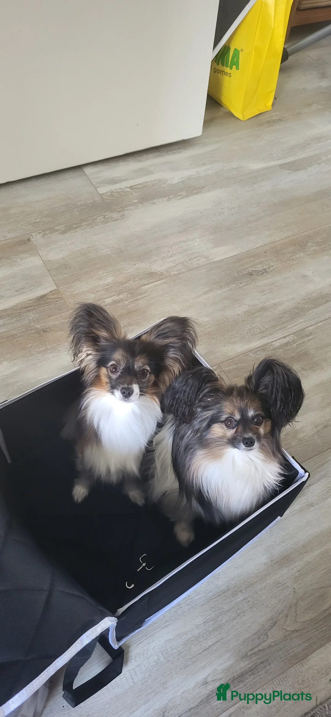 Galerij afbeelding {{count}}