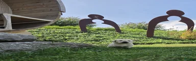 Labrador Retriever 3