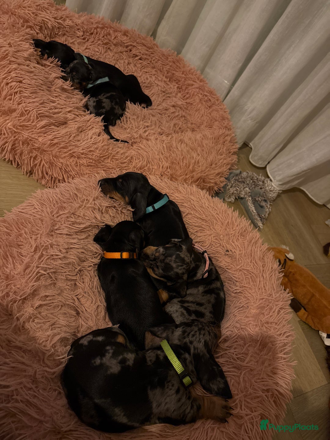 Galerij afbeelding {{count}}