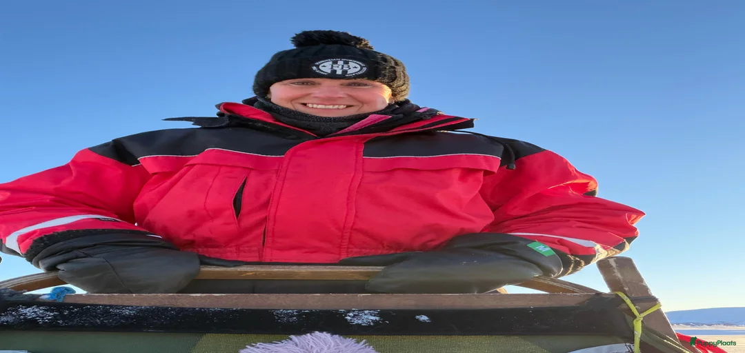 Galerij afbeelding {{count}}