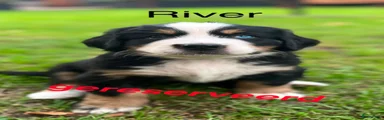 River