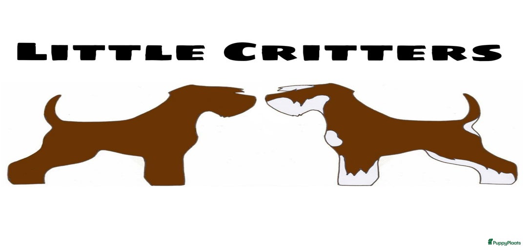 Galerij afbeelding {{count}}