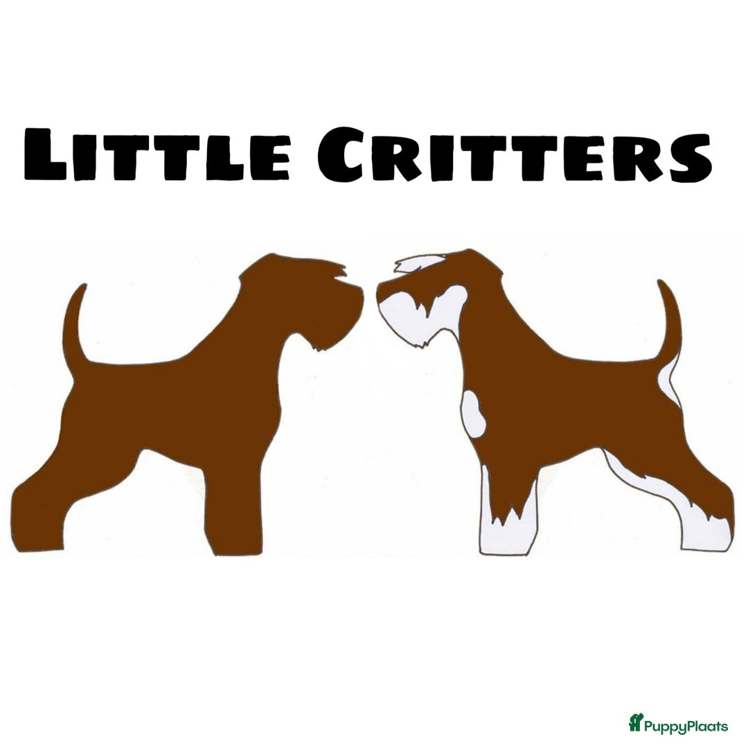 Galerij afbeelding {{count}}