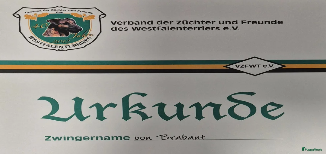 Galerij afbeelding {{count}}