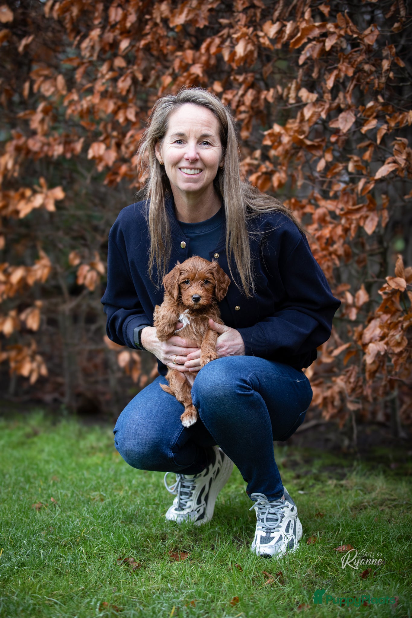 Australian Labradoodle honden Nog 2 bijzondere reutjes op zoek naar hun huisje - Advertentie 2