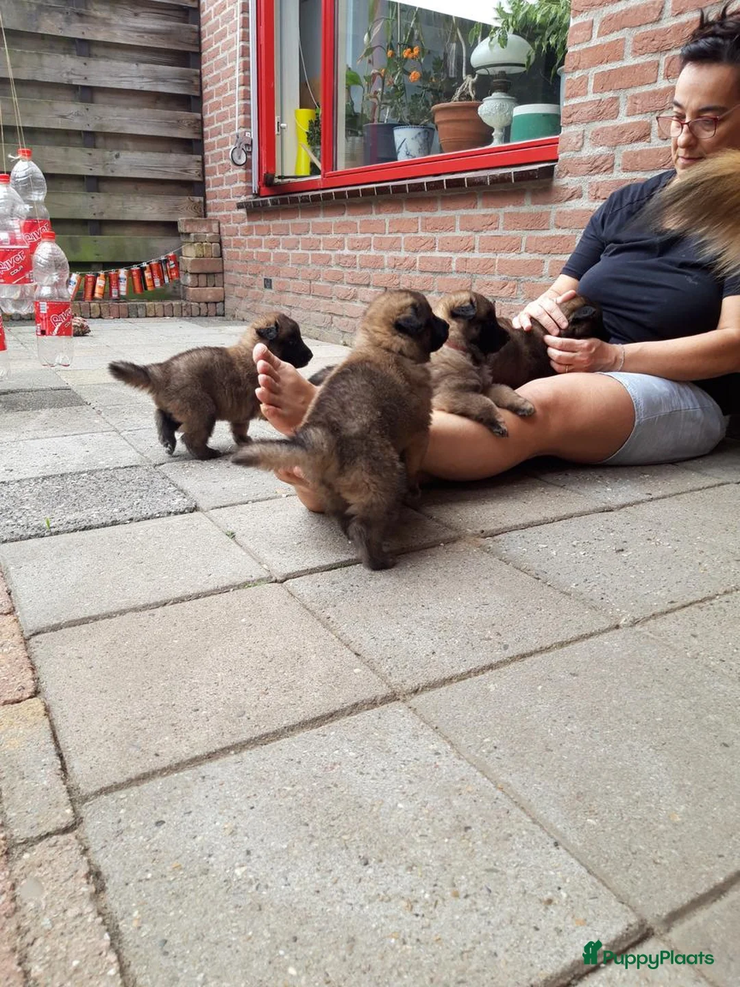 Galerij afbeelding {{count}}