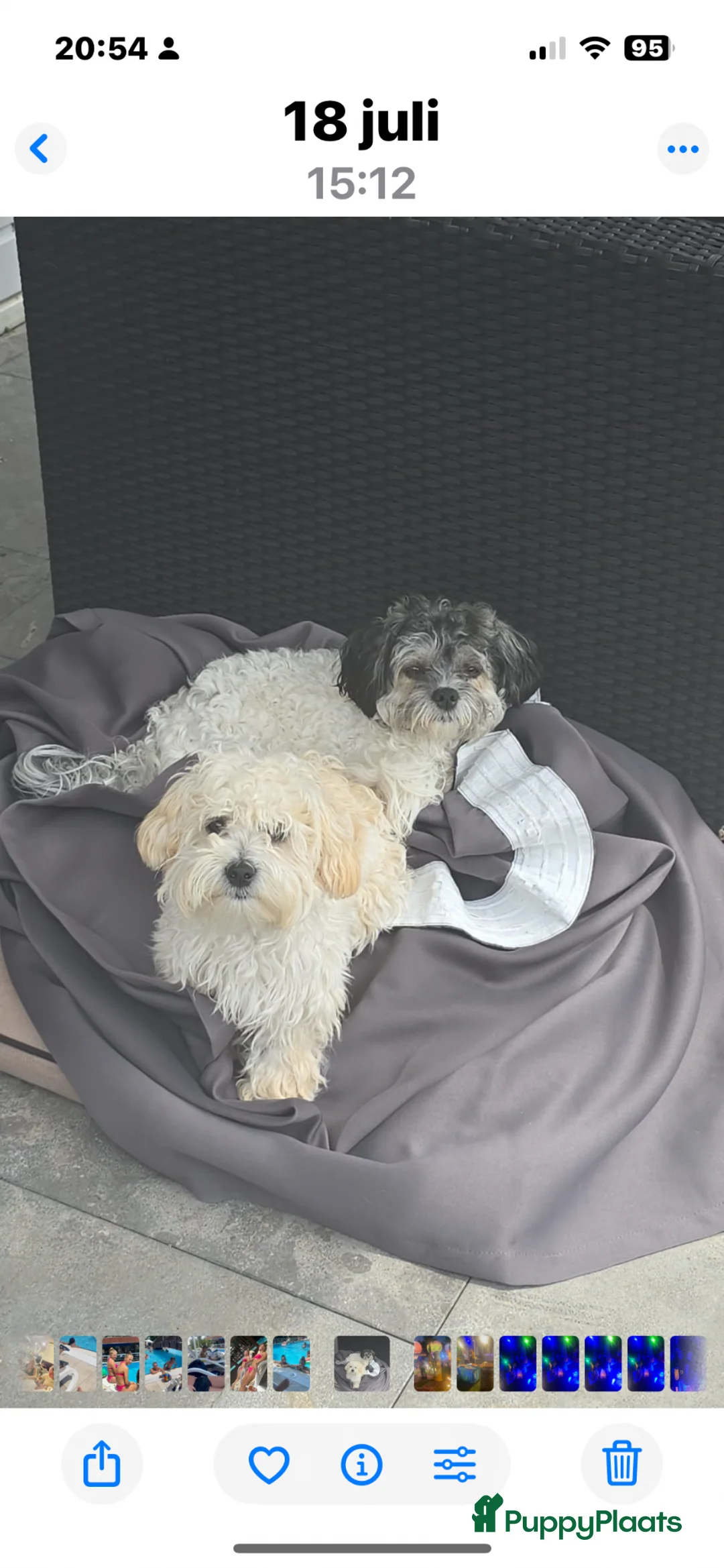 Galerij afbeelding {{count}}