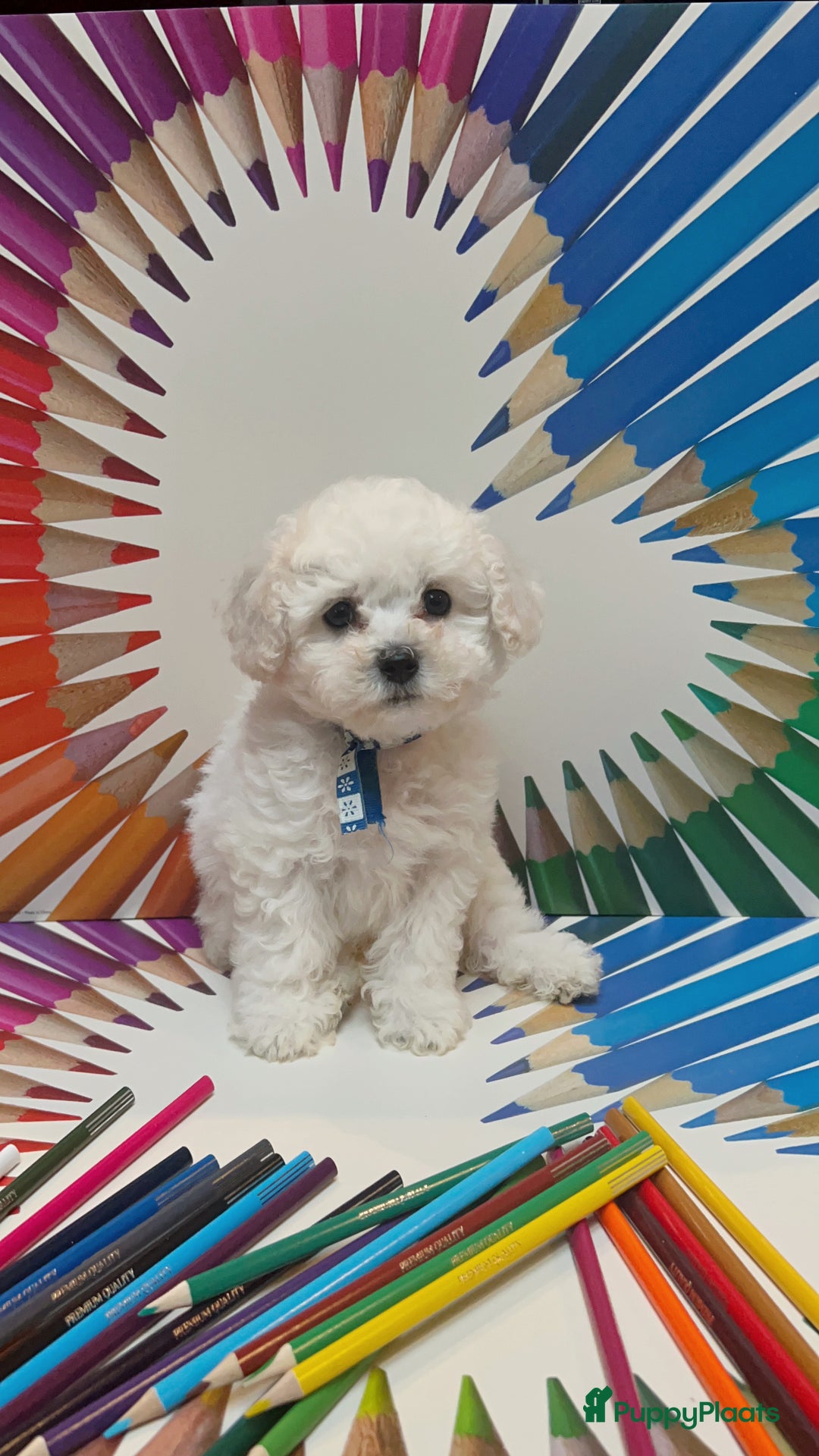 Galerij afbeelding {{count}}