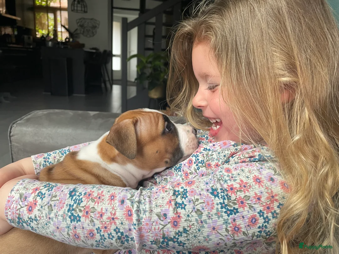 Galerij afbeelding {{count}}