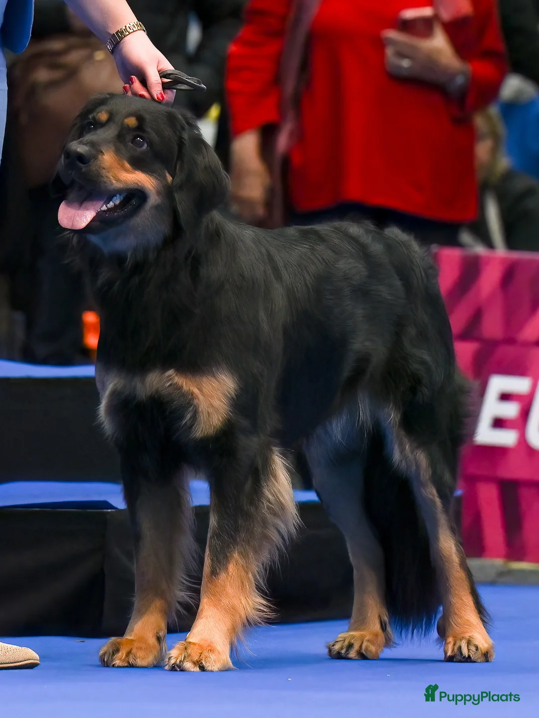 Galerij afbeelding {{count}}