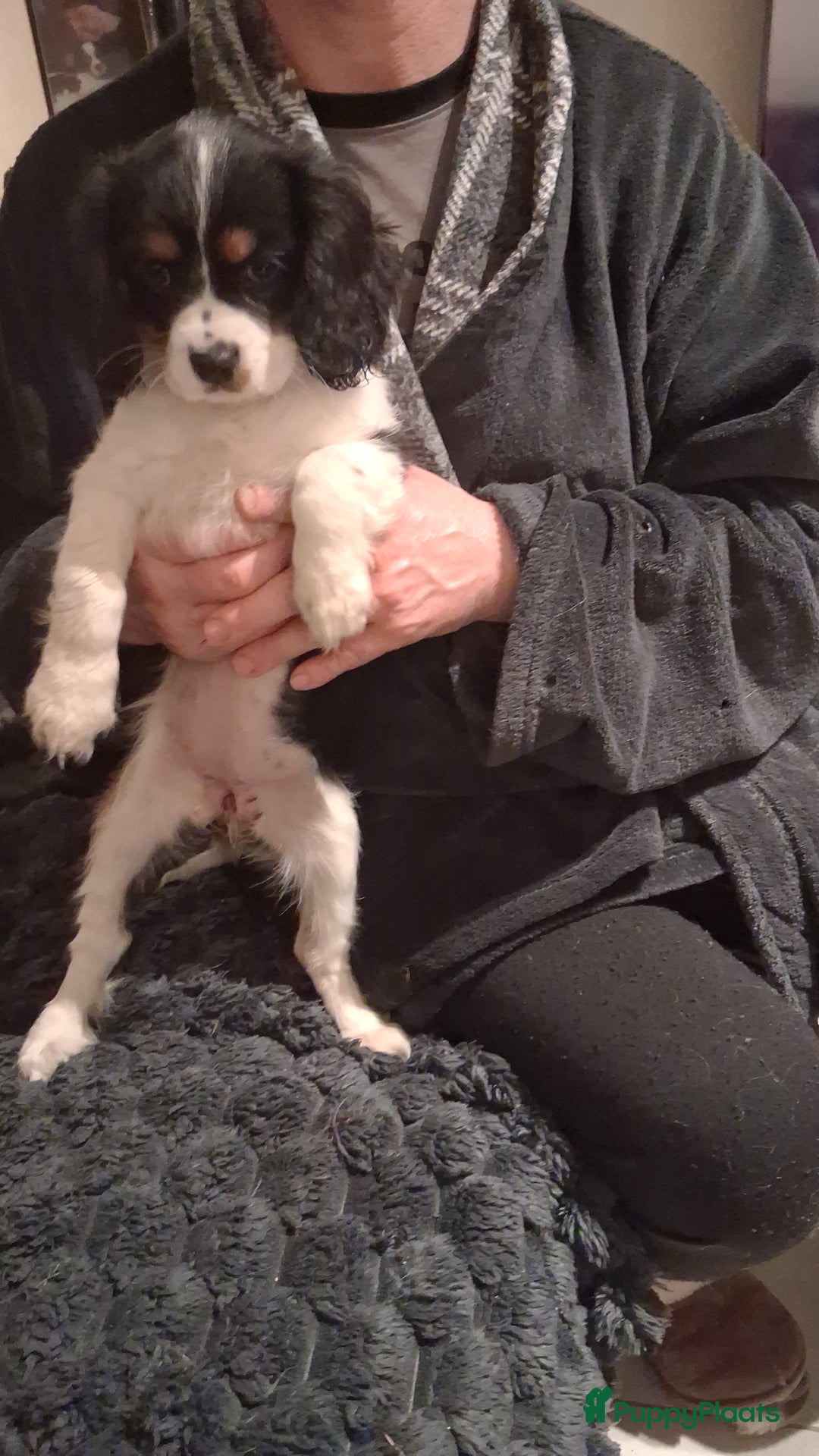 Galerij afbeelding {{count}}