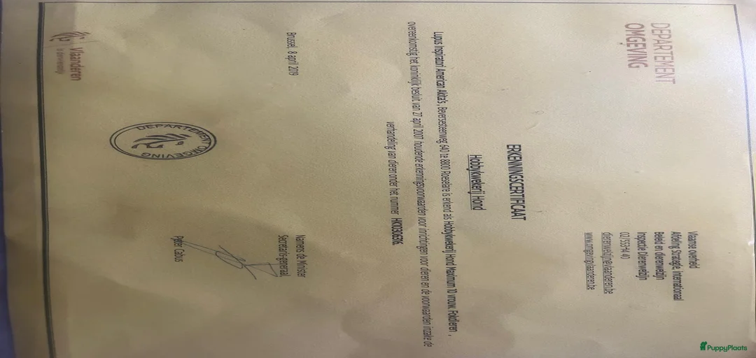 Galerij afbeelding {{count}}