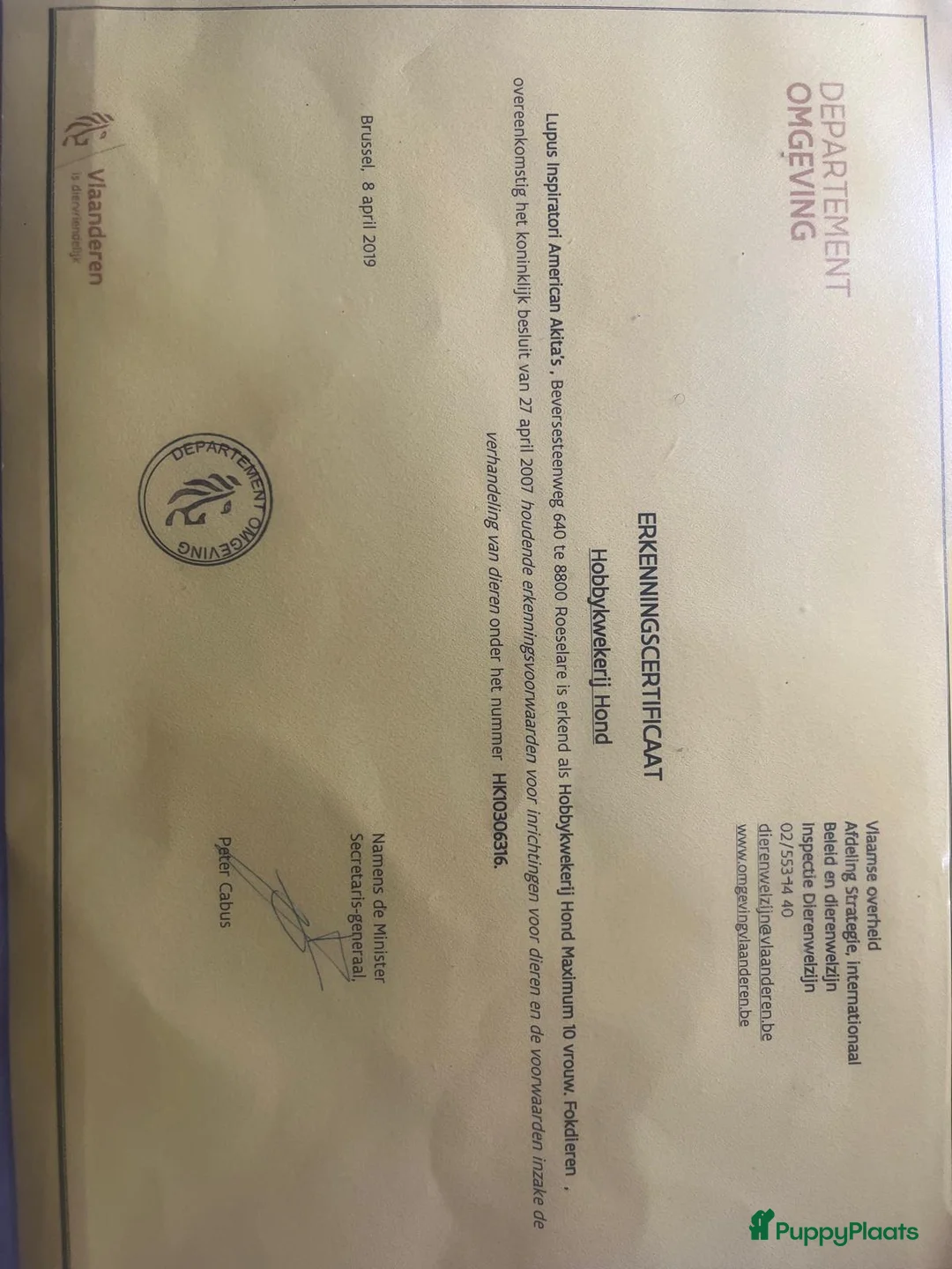 Galerij afbeelding {{count}}