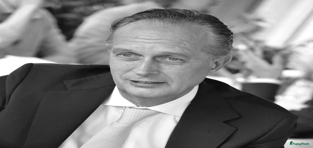 Galerij afbeelding {{count}}