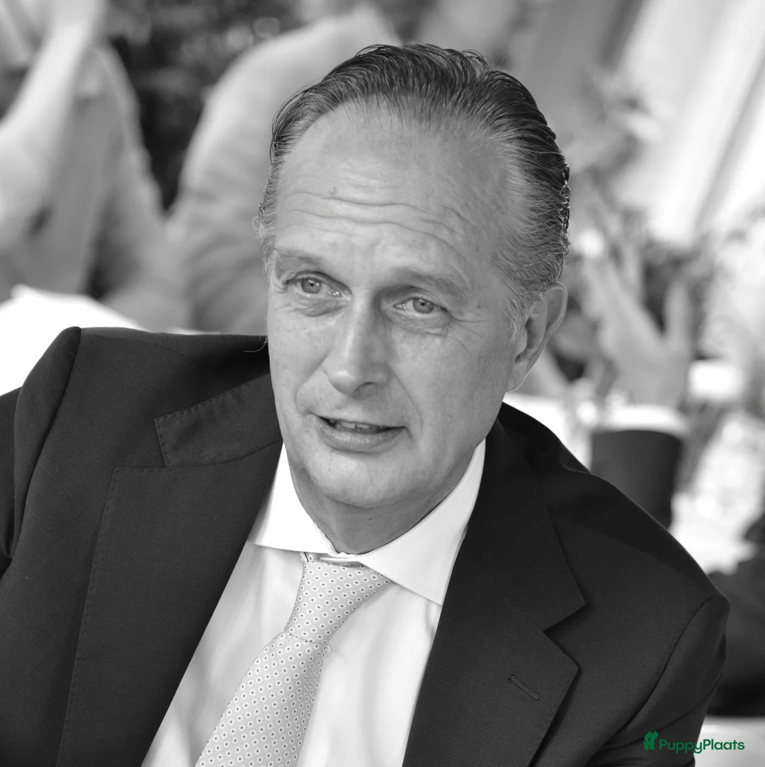 Galerij afbeelding {{count}}