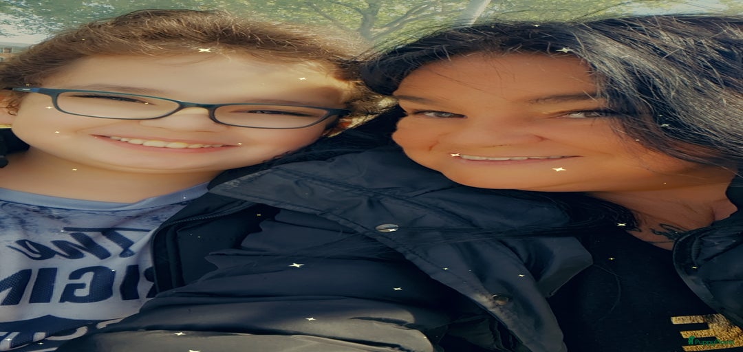 Galerij afbeelding {{count}}