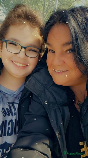 Galerij afbeelding {{count}}