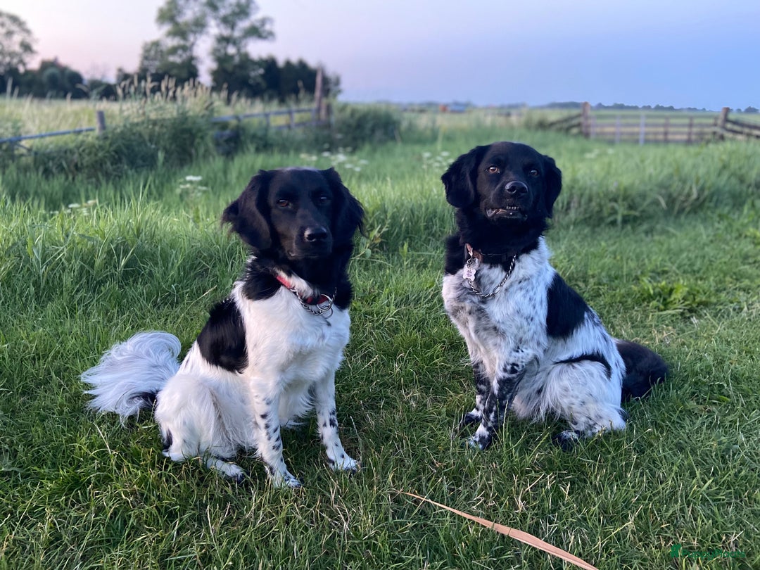 Galerij afbeelding {{count}}