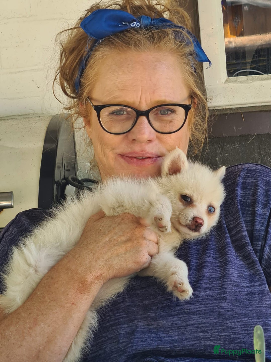 Galerij afbeelding {{count}}