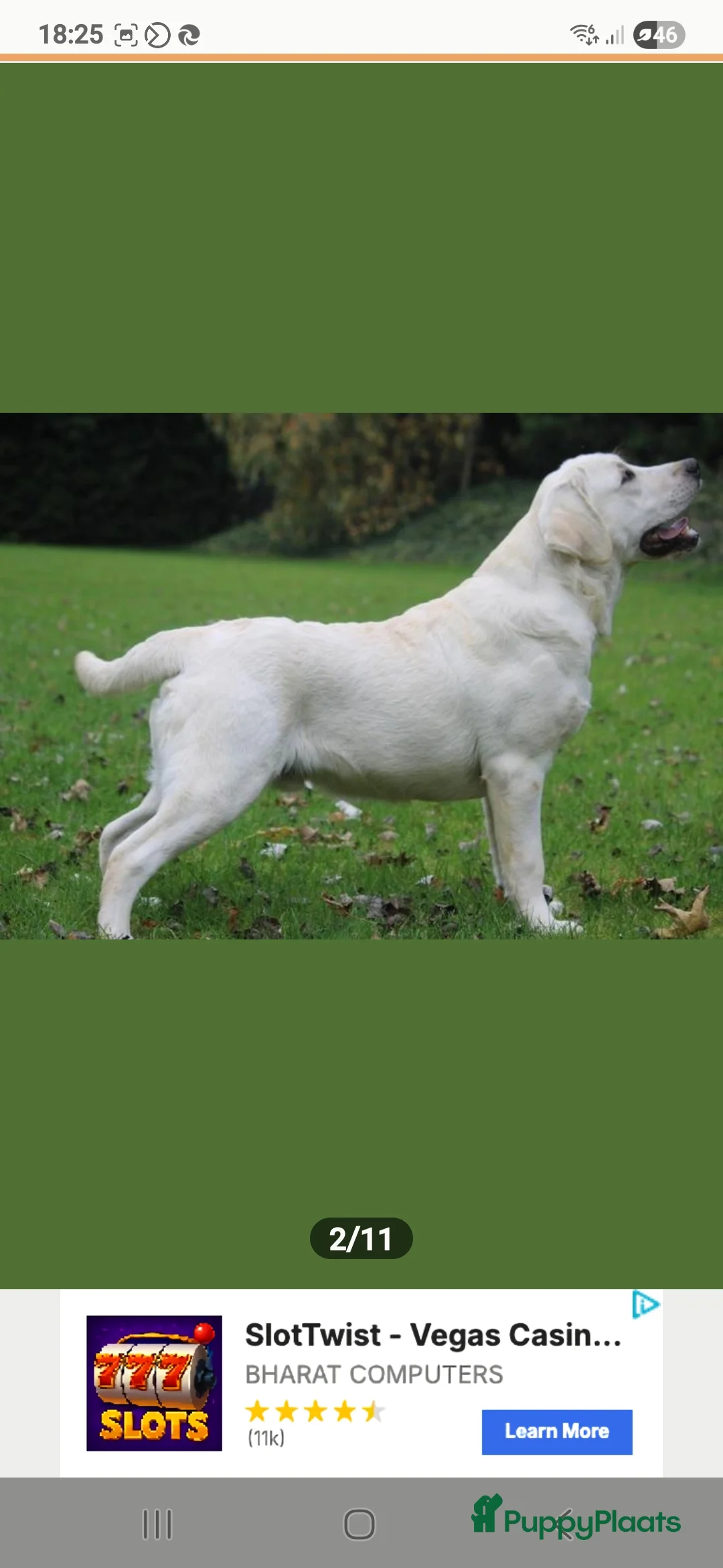 Galerij afbeelding {{count}}