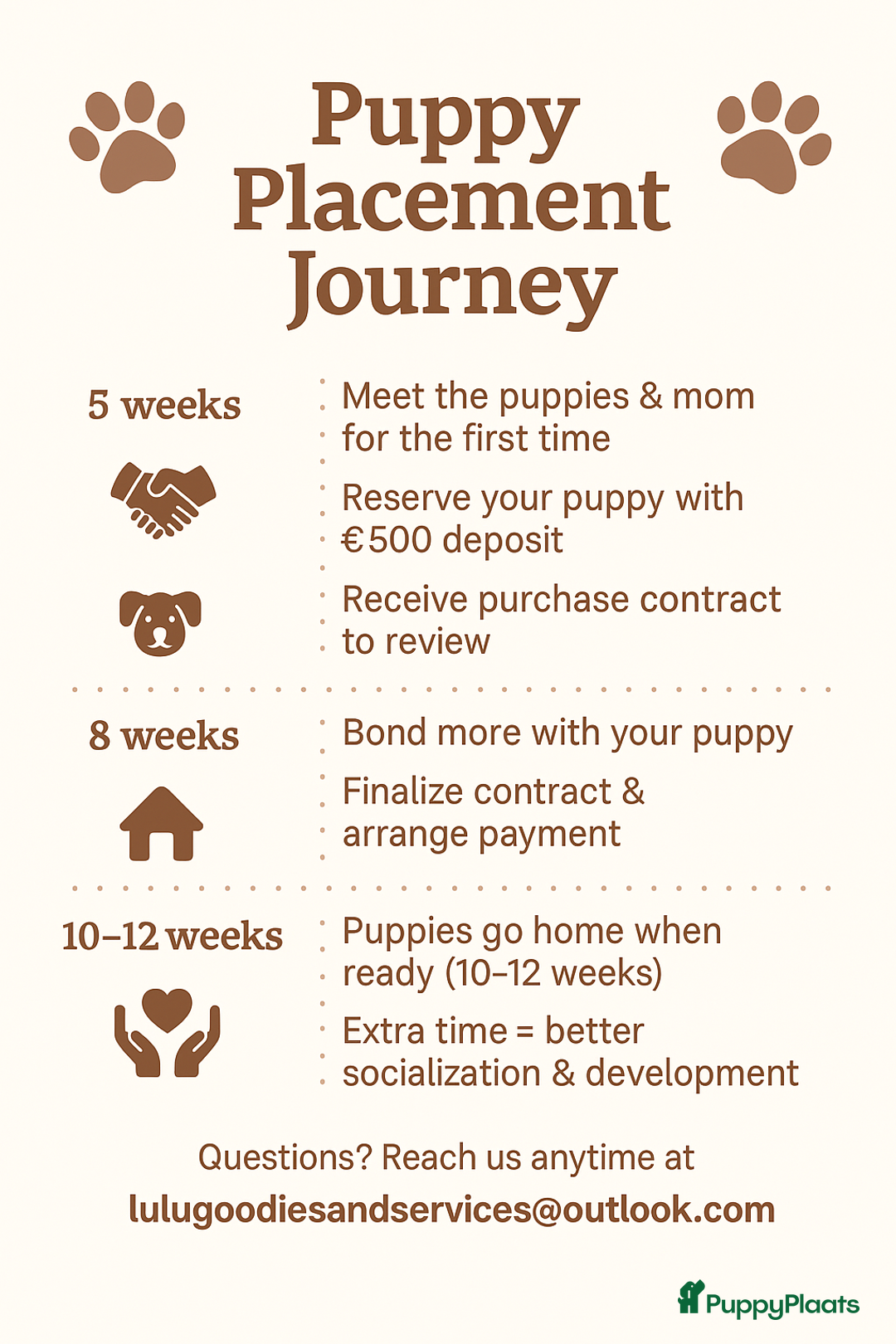 Cockapoo honden te koop: Health-Checked Mini Cockapoo Litter - Advertentie 11