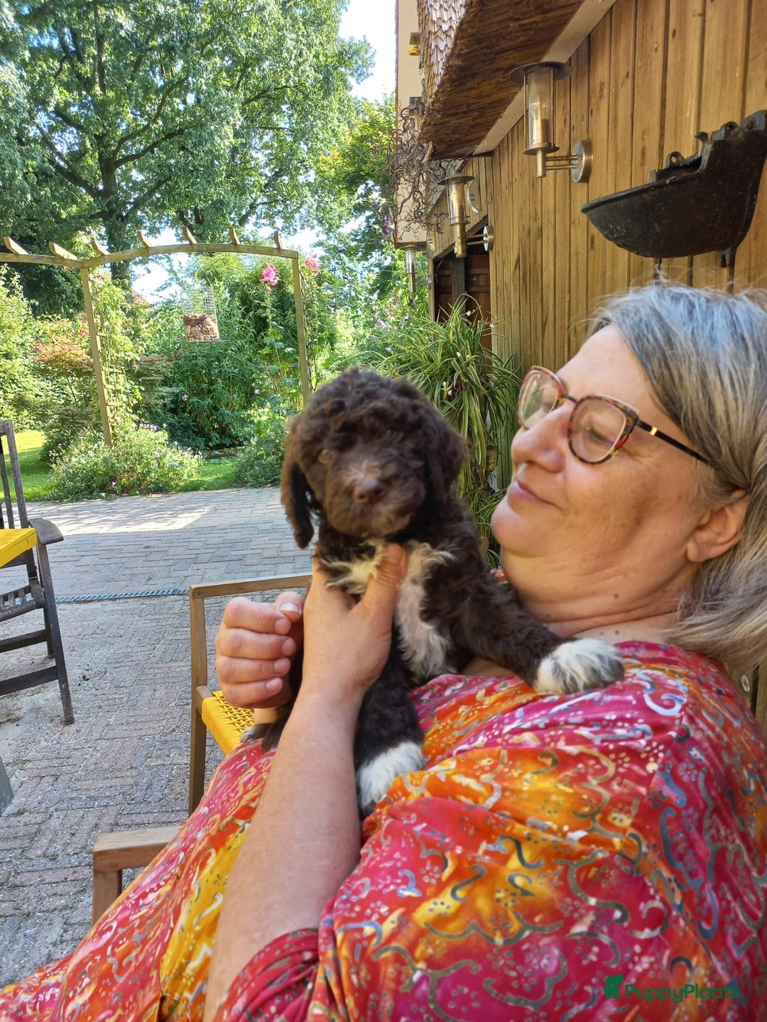 Galerij afbeelding {{count}}