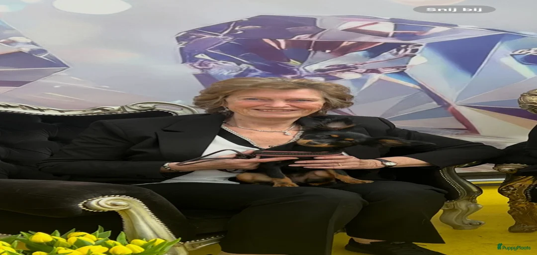 Galerij afbeelding {{count}}