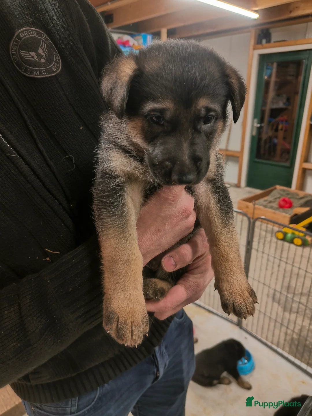 Duitse Herder honden te koop: Prachtige Duitse herder pups * mogen vd week weg * - Advertentie 10