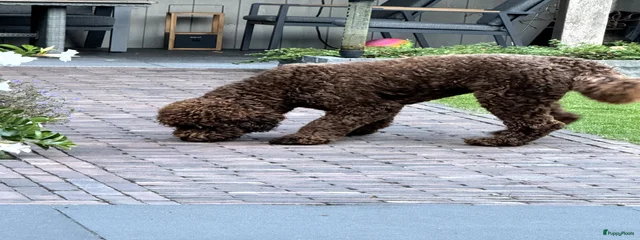 .