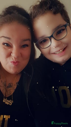 Galerij afbeelding {{count}}